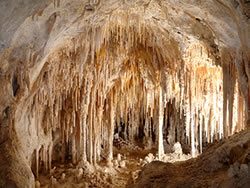 Carlsbad Cavern National Park New Mexico