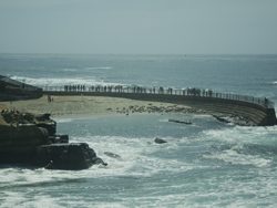 Childrens Pool La Jolla California