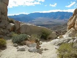 Anza Borrego Desert Jeep Tours