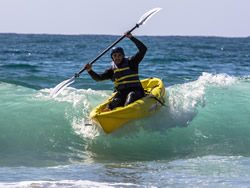 Everyday California Guided Kayak Tours of the La Jolla Ecological Preserve