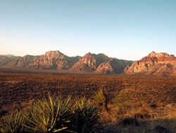 Red Rock Canyon National Conservation Area